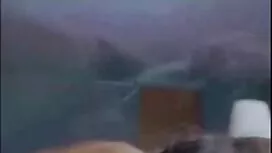 Декларация sex lelki ...
