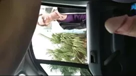 Голям Черен Петел Бл ...