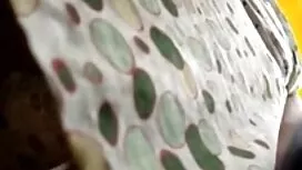 Секс в тоалетната Мо ...