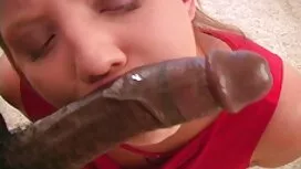 Домашен истински сту ...