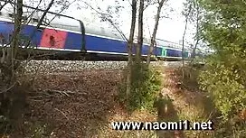 Въпрос за stari babi ...